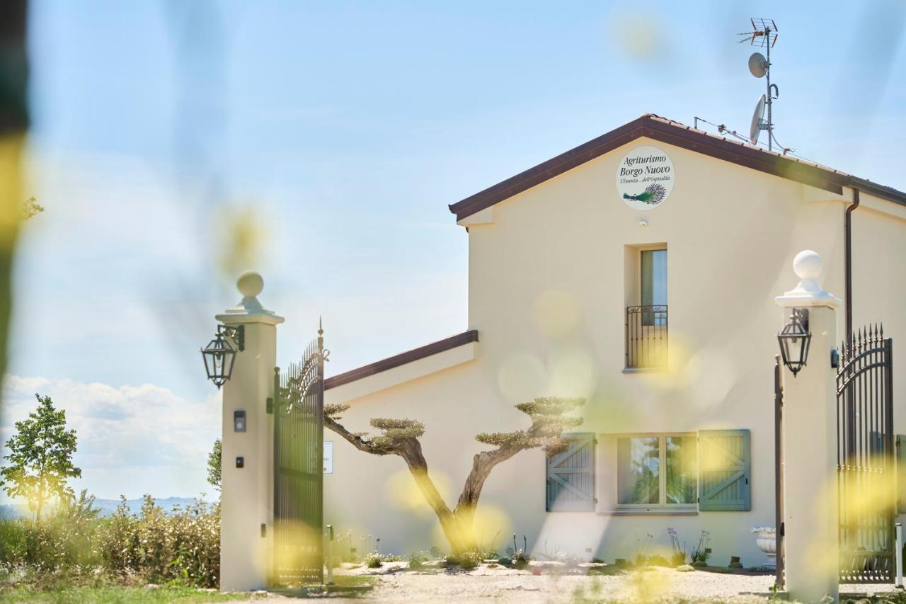 Agriturismo Borgonuovo - Ferienwohnung