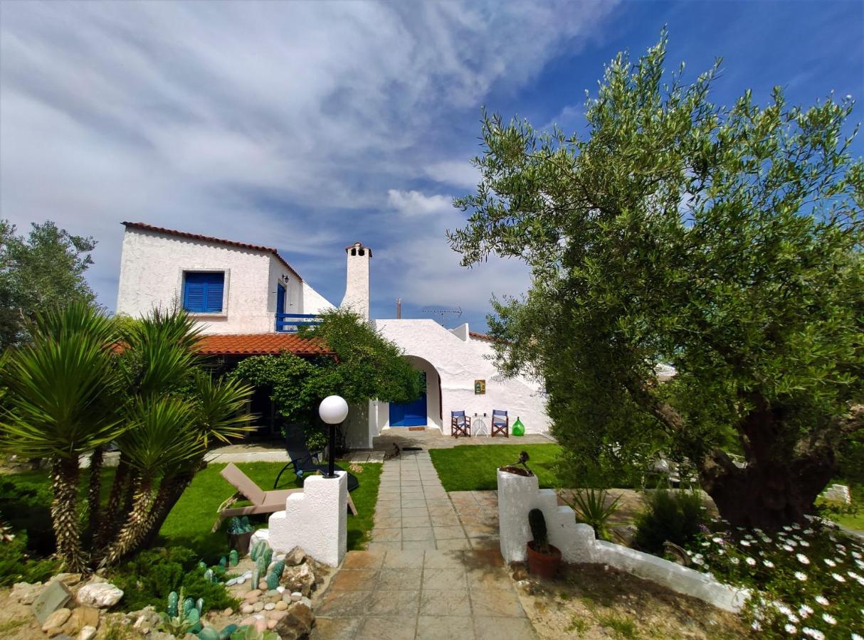 I GABBIANI - B&B Pefkochóri