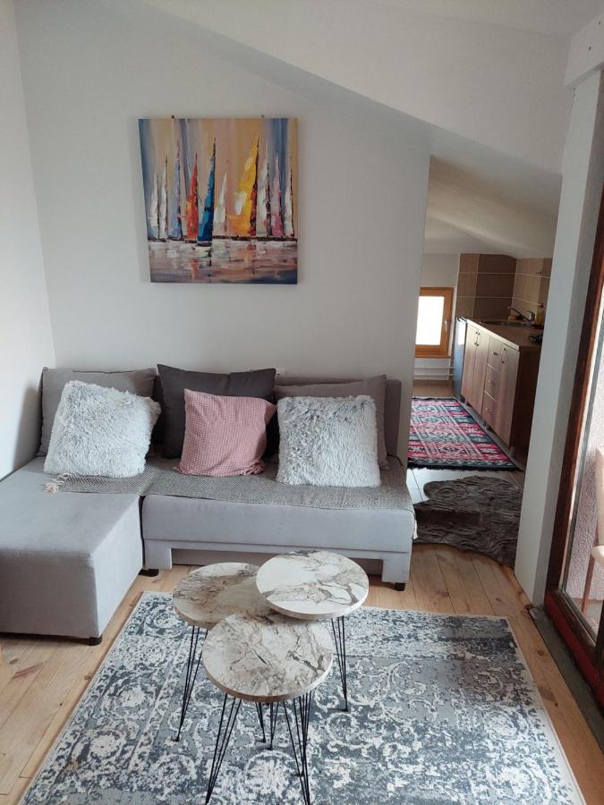 Apartment mit 1 Schlafzimmer