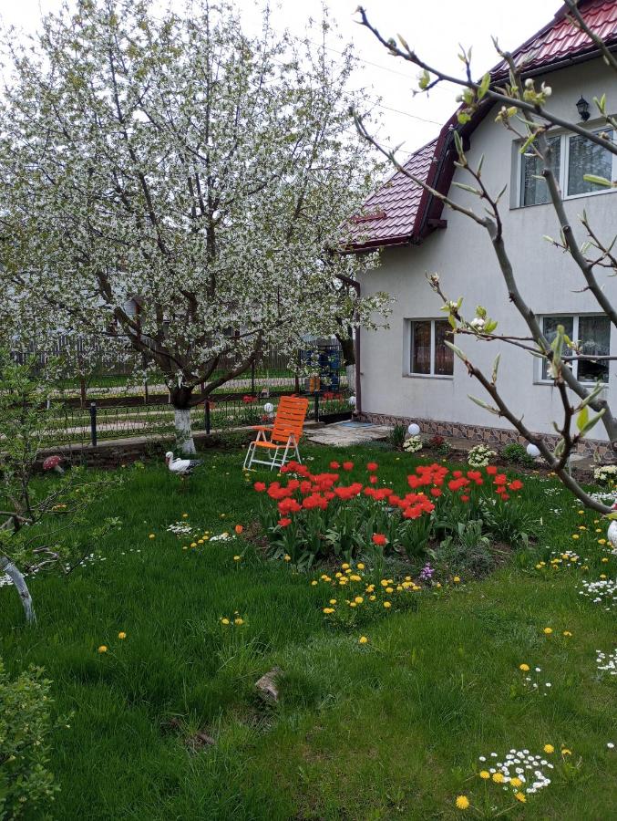 B&B Dorna Cândrenilor - Căsuța Bunicilor - Bed and Breakfast Dorna Cândrenilor