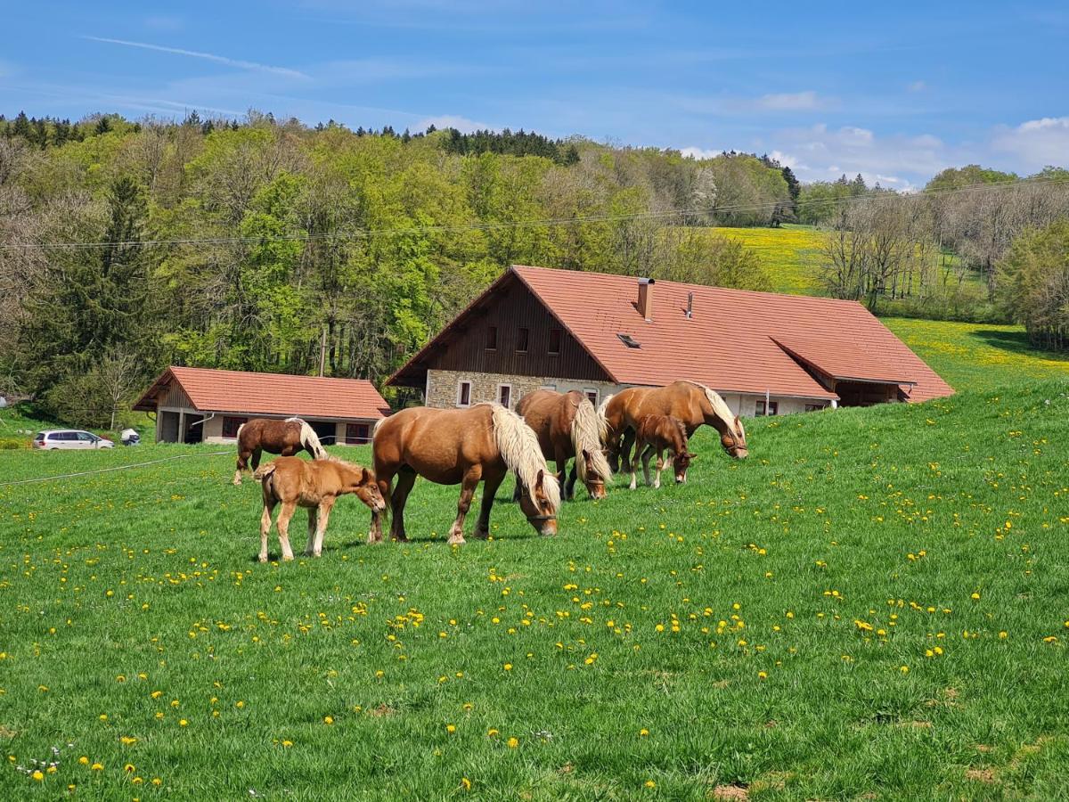 B&B Arçon - Gîte du cheval blanc - Bed and Breakfast Arçon