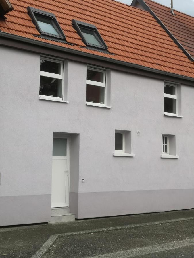 Gîte à 10 min d'Europa-park - B&B Rhinau