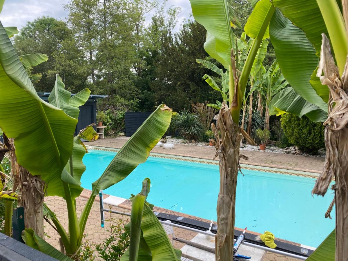 Logement T2 terrasse vue sur piscine - Bed and Breakfast Larche