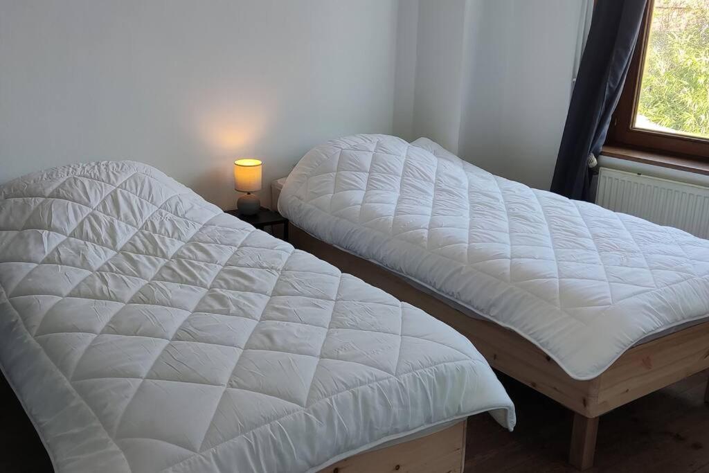 Maison Ronchin/Lille - Proche toutes commodités - Bed and Breakfast