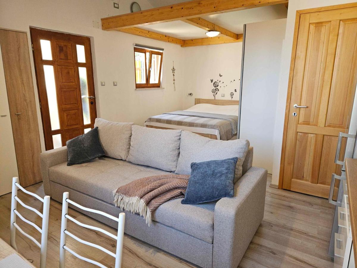 Appartement 1 Chambre