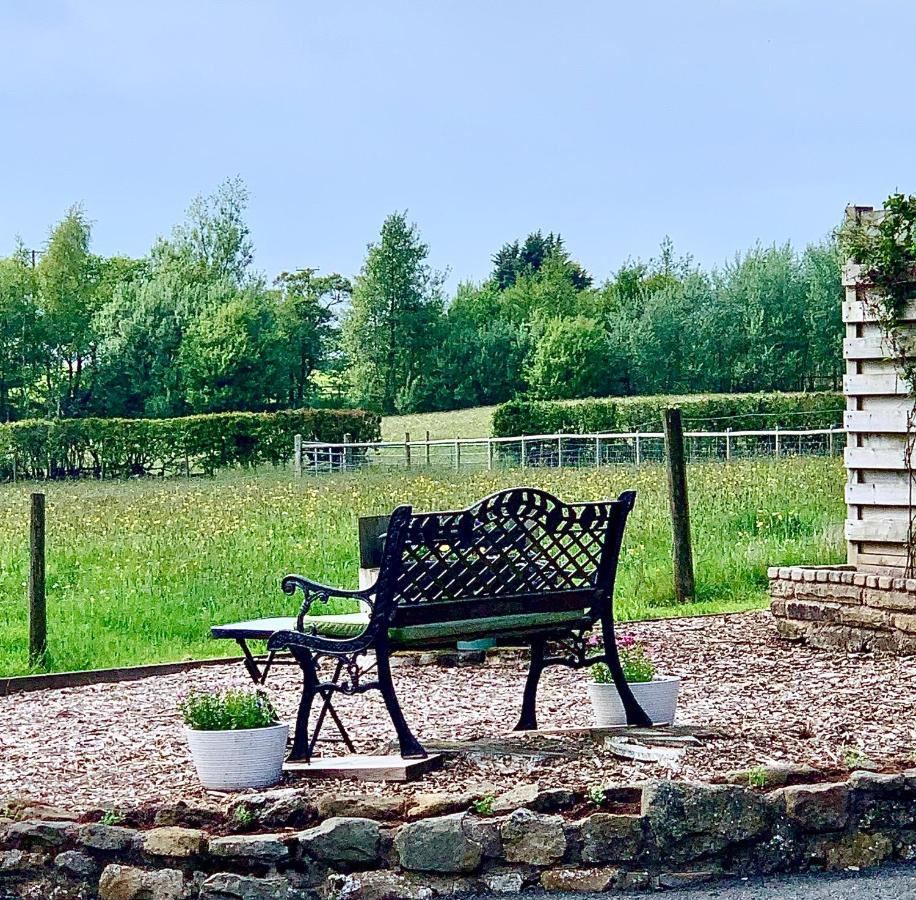 B&B Ingleton - Sunset View a quiet and romantic rural retreat for 2 adults just outside ingleton - Bed and Breakfast Ingleton