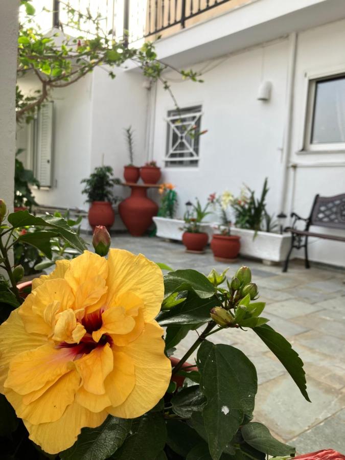 Dimitra's house at Karlovasi - Ferienwohnung Karlovasi