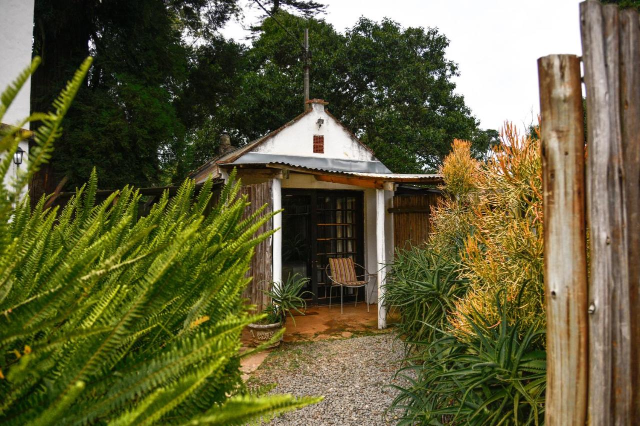 Chambre Double avec Patio