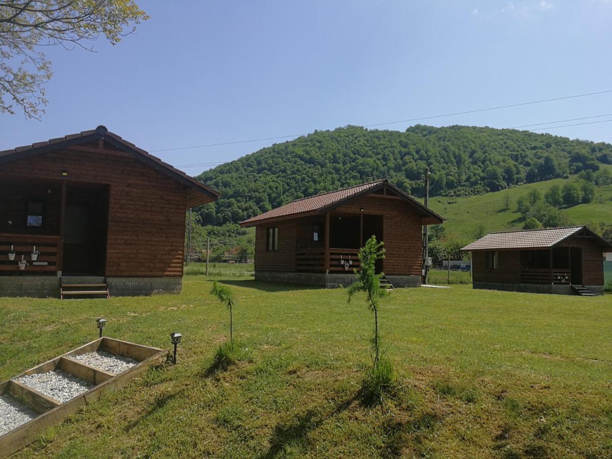 Căsuțe Zăvoi Bulz - B&B