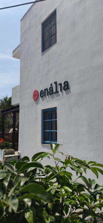 Appartamento - Piano Terra