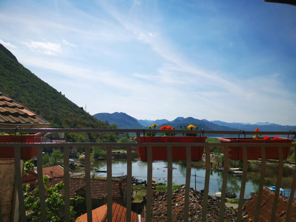 Apartment Dapcevic Skadar lake - B&B
