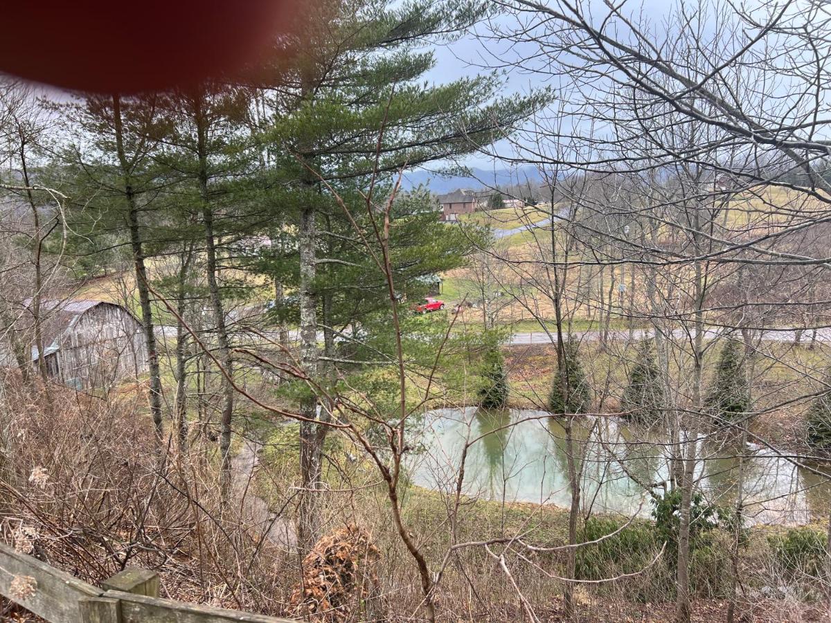 Swift Hollow Memories - B&B