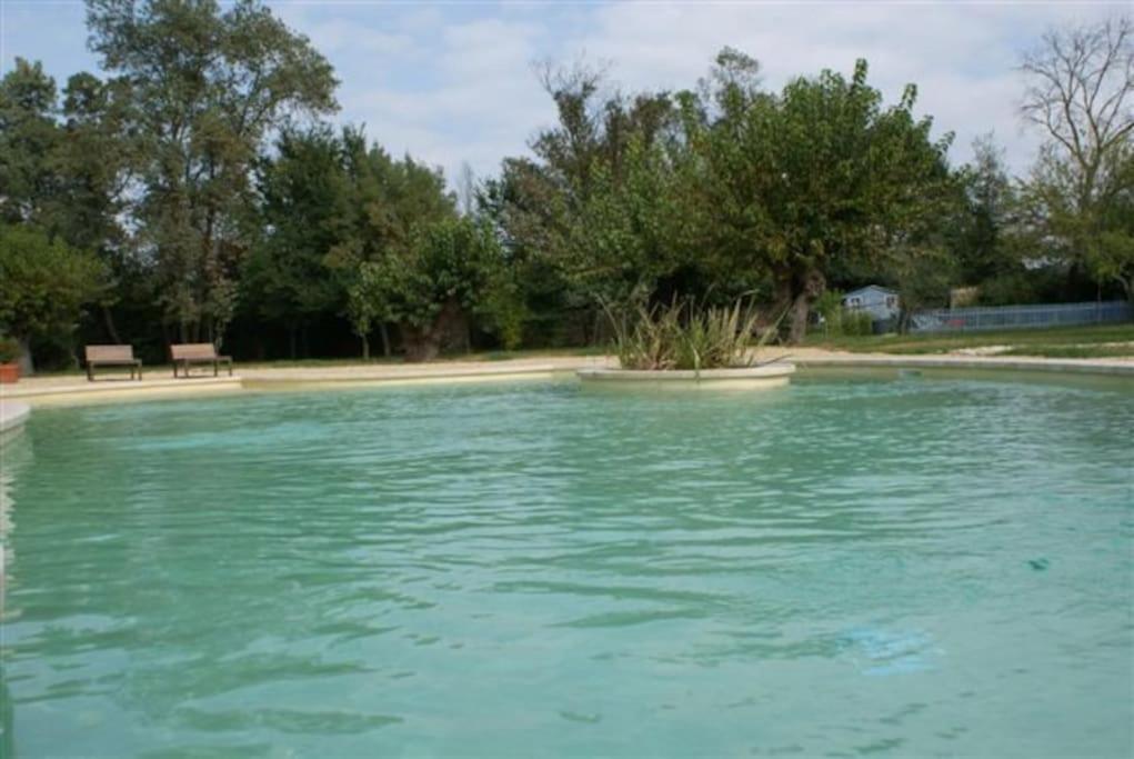 Gite de charme 80 m², piscine, proche d'Uzès. - B&B