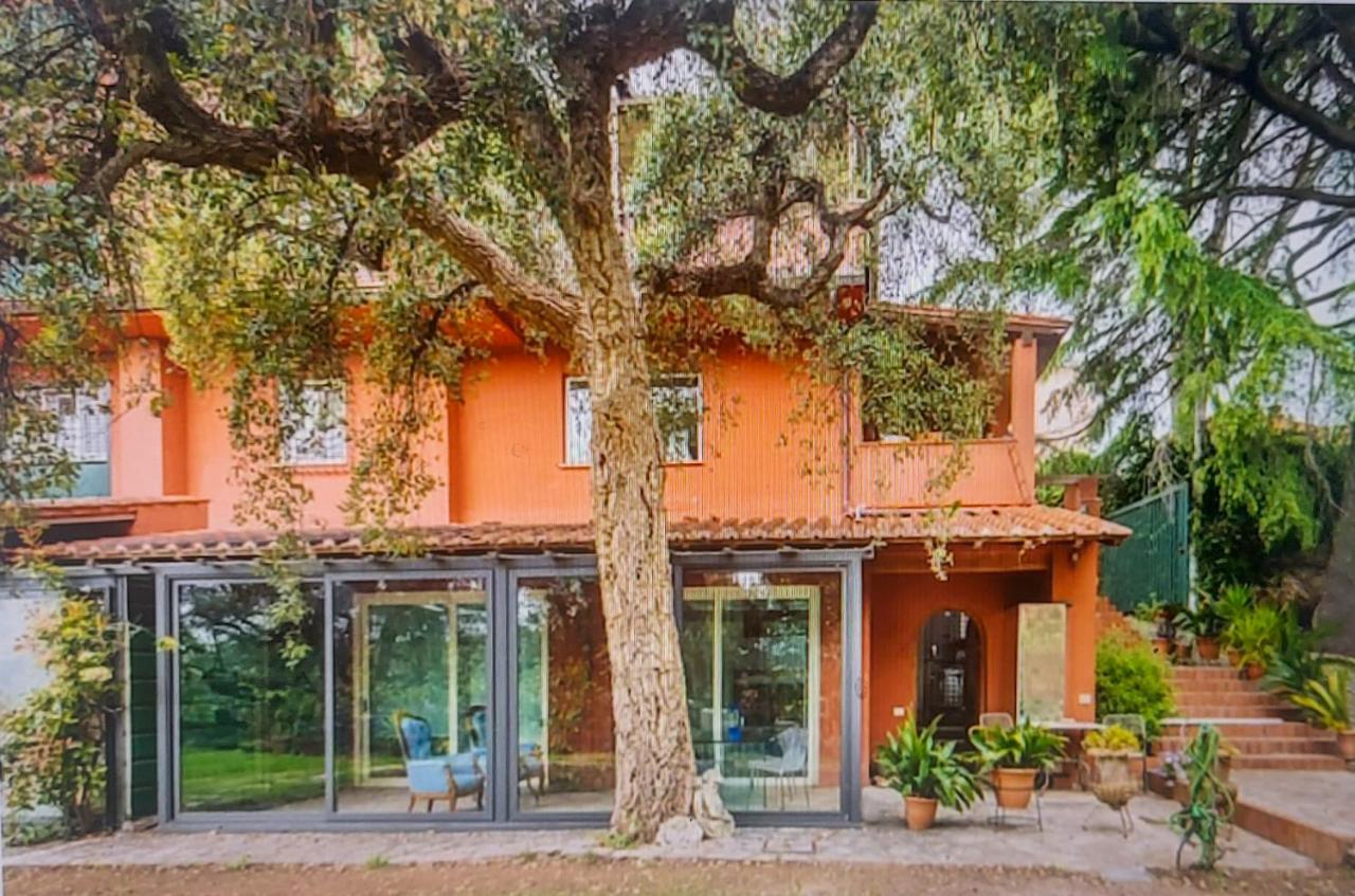 Cassia, Luminoso Open Space nel verde , Casa Dei Leoni - B&B
