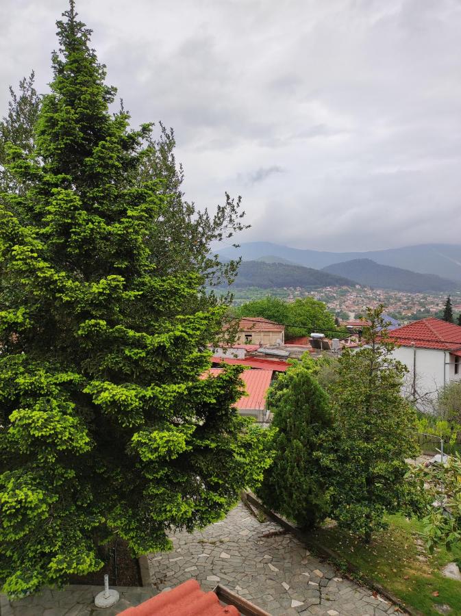 B&B Kavala - EverGreen - Bed and Breakfast Kavala