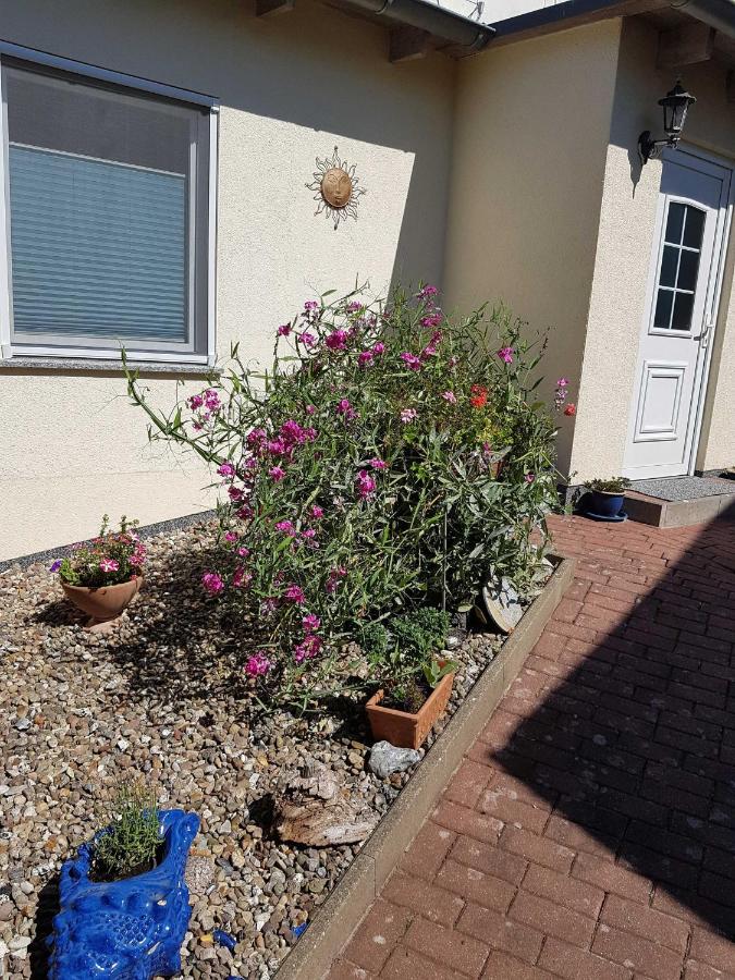 Ferienwohnung Montag _ in der Alts - Bed and Breakfast Sassnitz