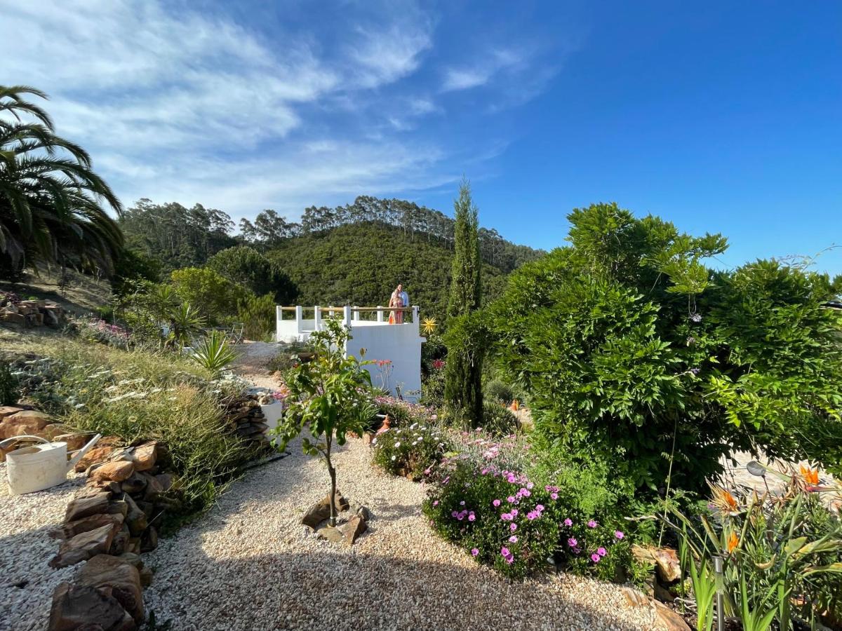 Romantic Skyview Glasshouses - B&B Rogil