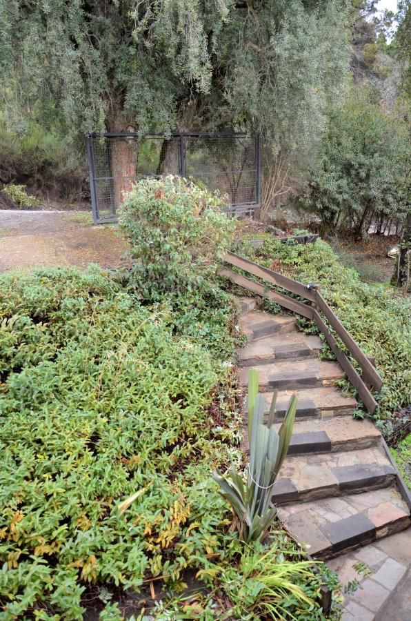 A la grande le puse Cuca - AmunaPatagonia - B&B