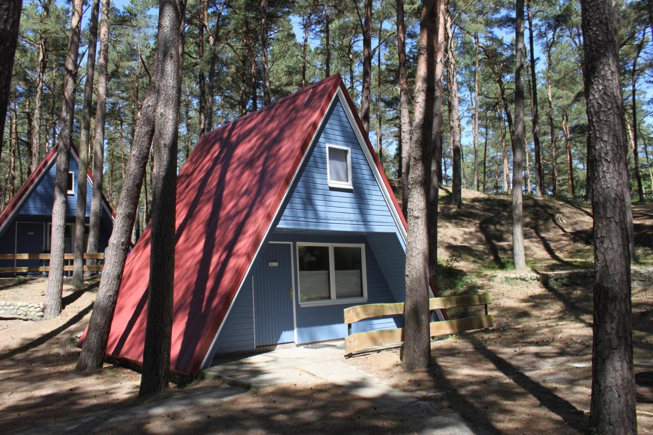 Glücklich am Strand - Ruhe im Kiefernwald mit Terrasse & Hundeherz willkommen - B&B Trassenheide
