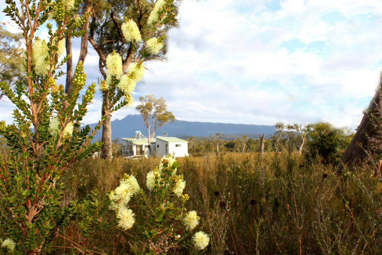 B&B Lune River - Far South Eco-Cabin, Southern Tasmania - Bed and Breakfast Lune River