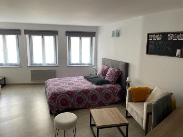 F1 Centre Historique Saint Valbert - B&B Luxeuil-les-Bains