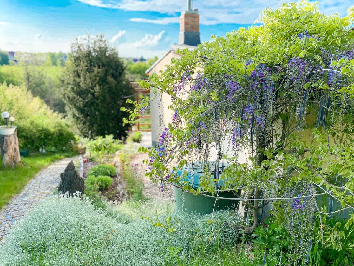 Weinquartier Kalter Hügel - B&B