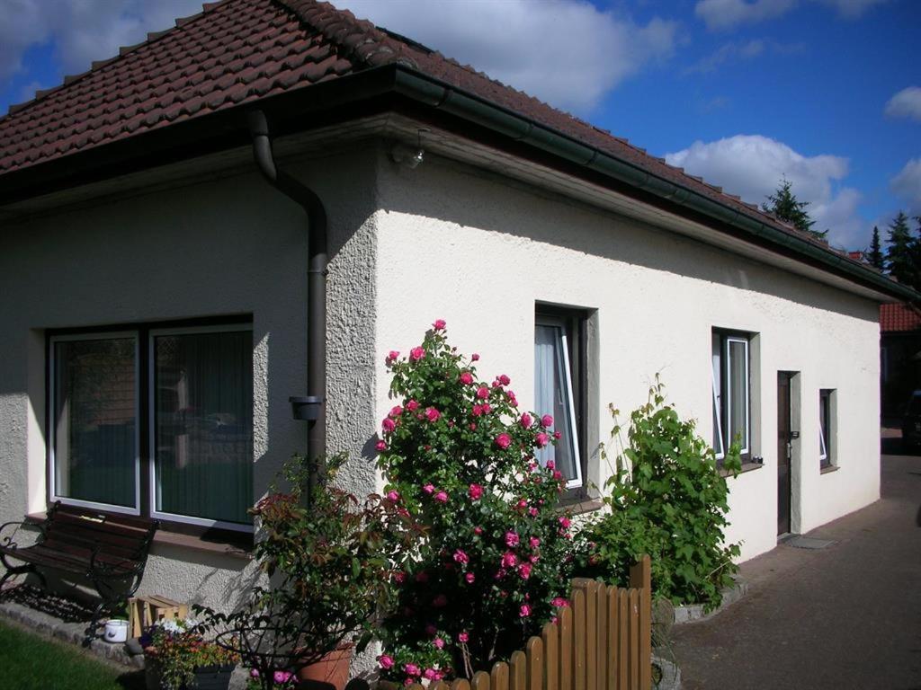 Ferienwohnung Menke - B&B