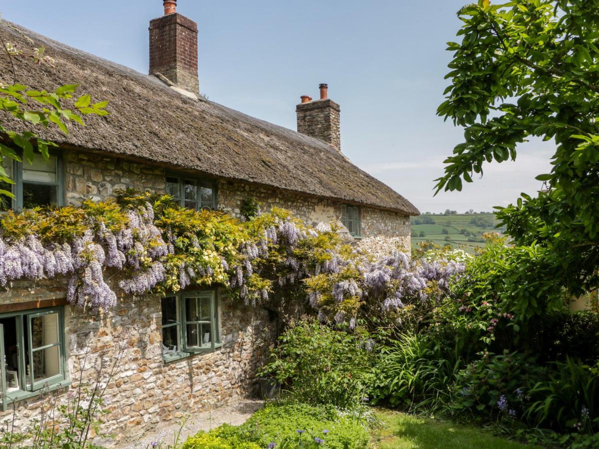 B&B Honiton - The Hayloft - Bed and Breakfast Honiton