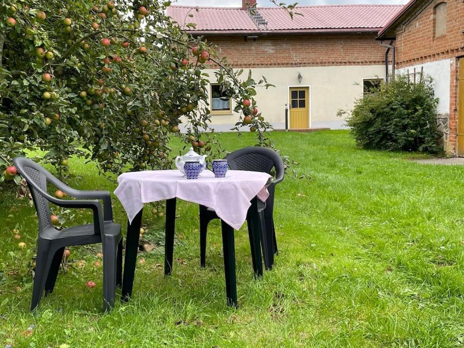 B&B Klocksin - Gemütliches Haus mit Parkplatz auf dem Hof - Bed and Breakfast Klocksin