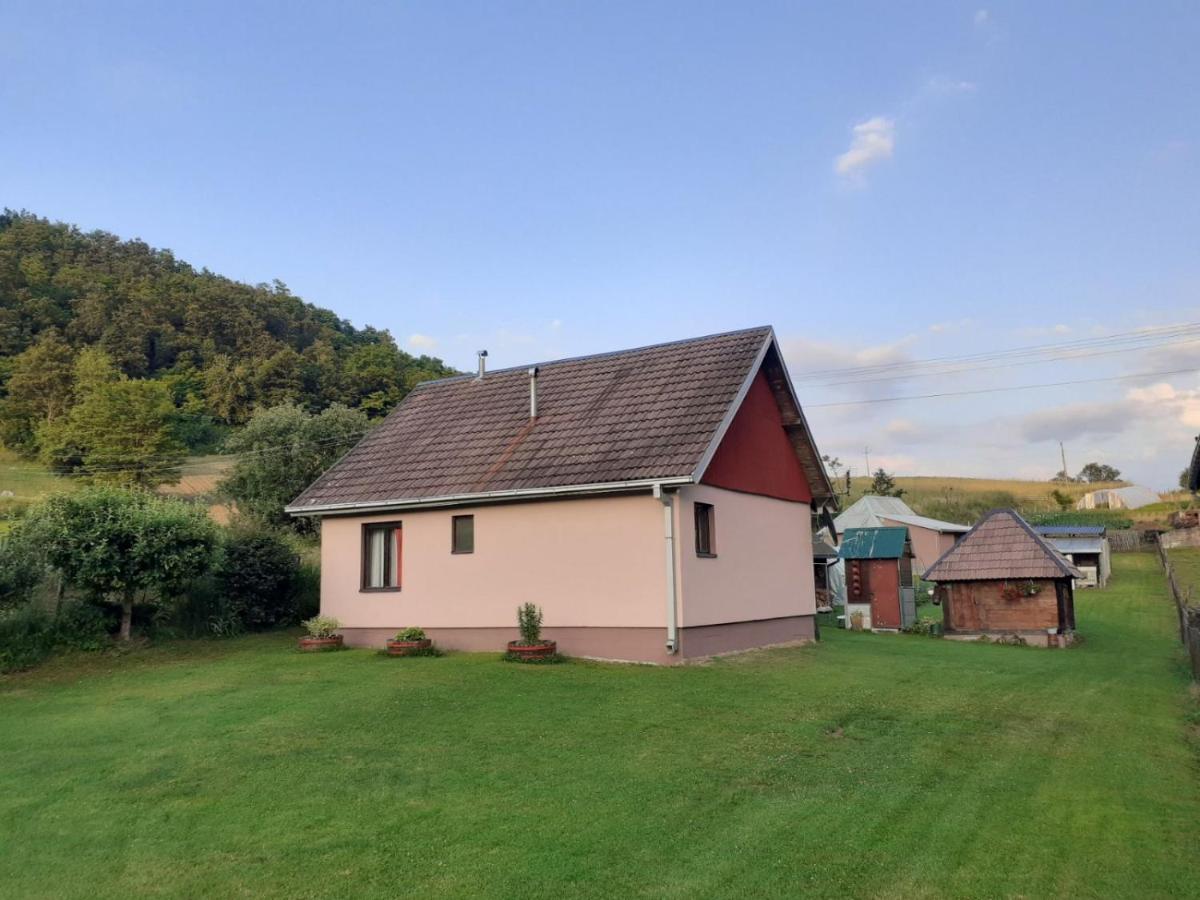 Pantića avlija - Ethno household - B&B Požega