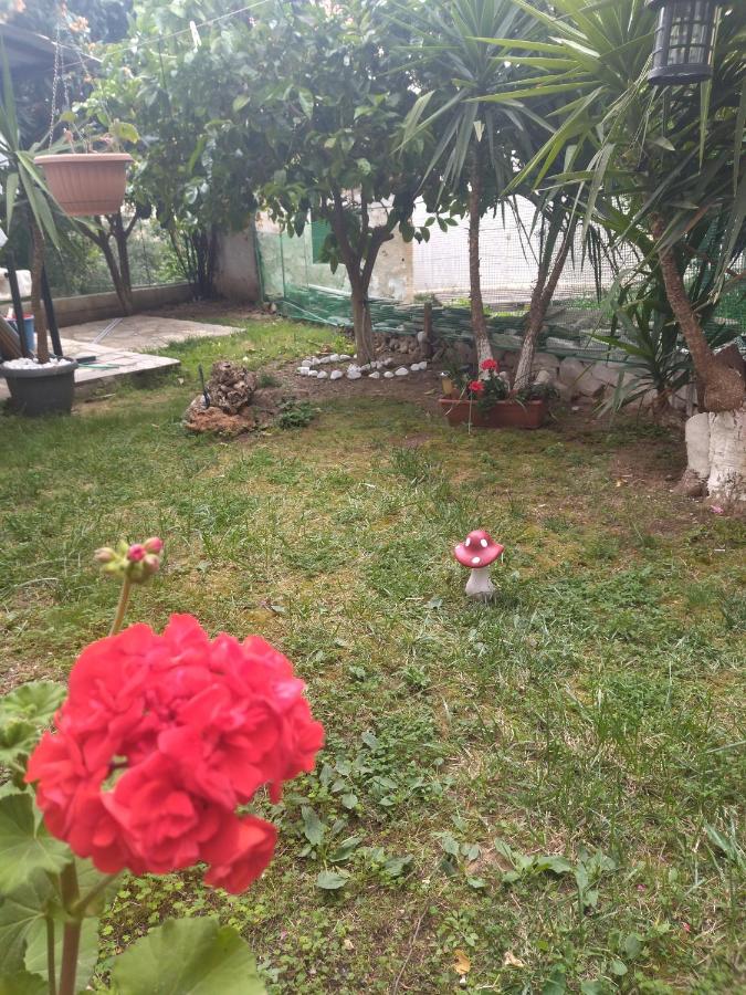 Chambre Double - Vue sur Jardin