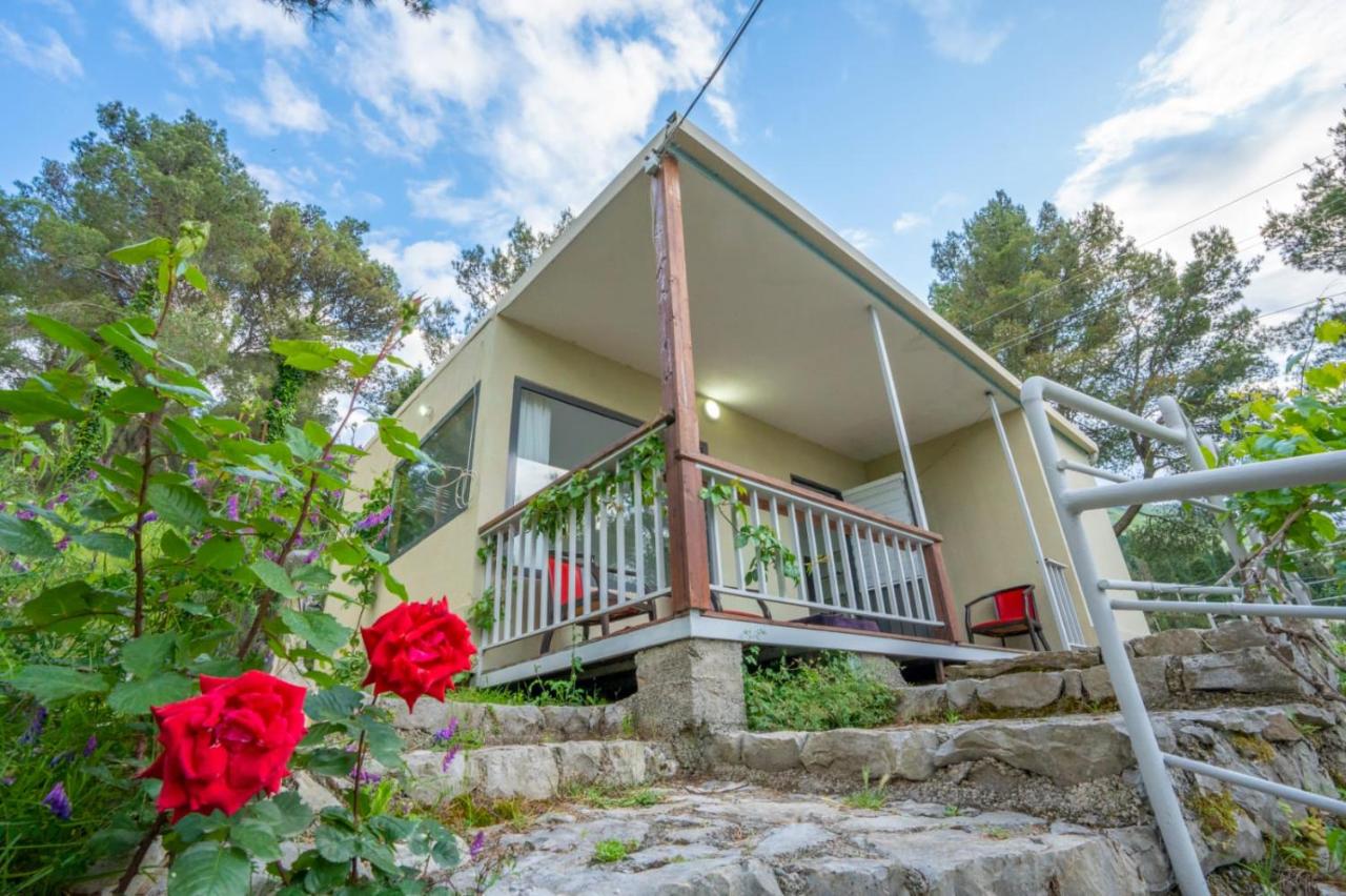 AMONG THE TREES - B&B Shirokë