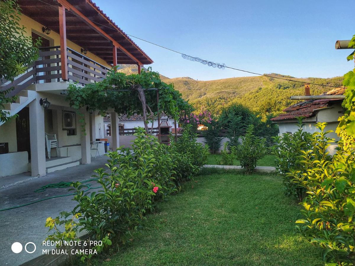 Poli's Ideal Holiday Home - Fully renovated ! - B&B