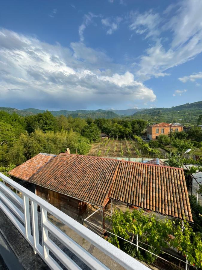 Zaali's wine cellar - B&B Vani