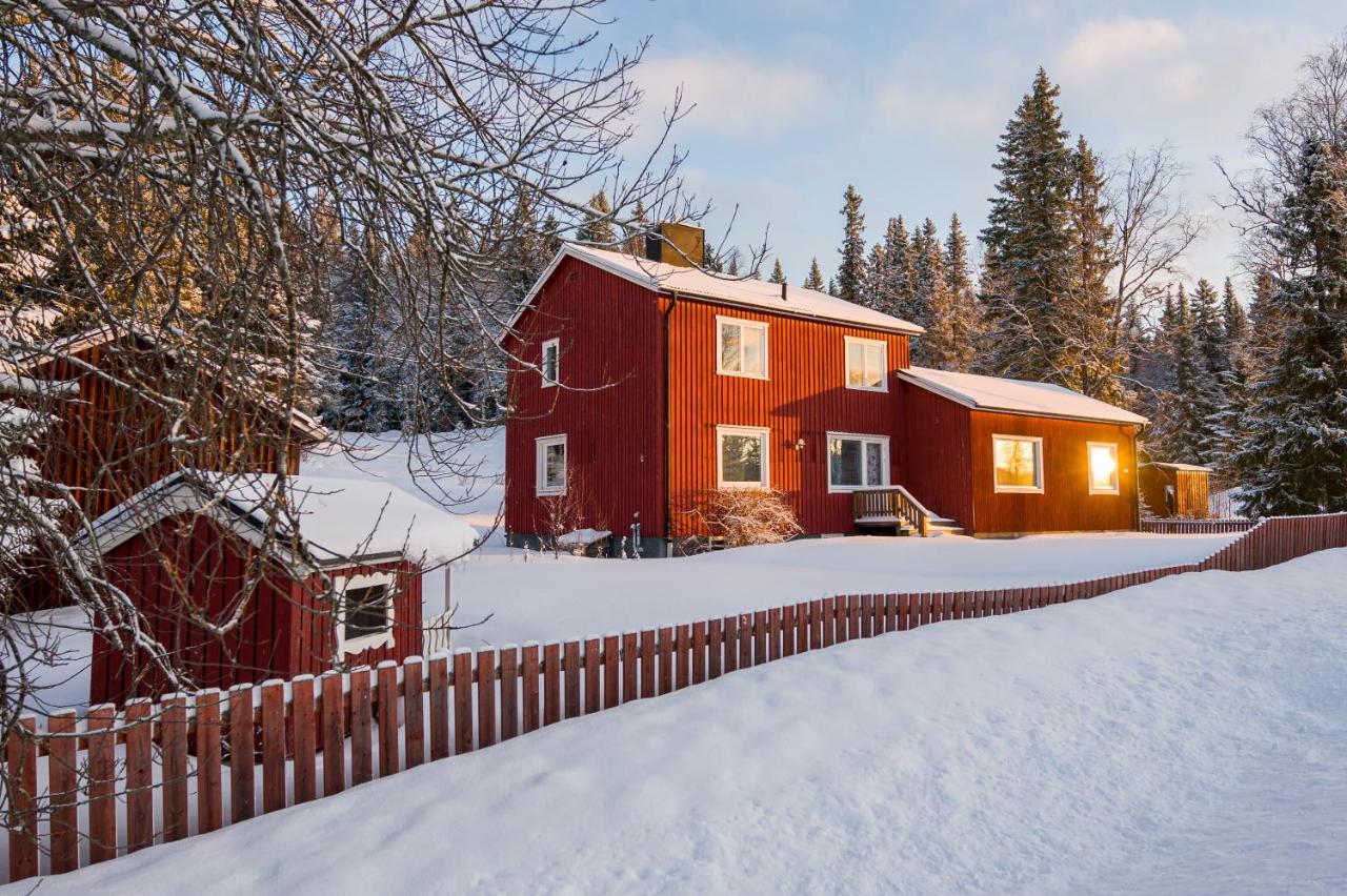 The bear's den - B&B