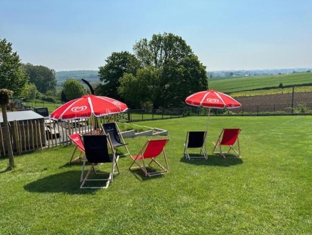 Het Alpaca Zicht - B&B Geraardsbergen