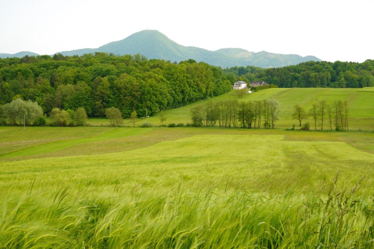 Sofia Holiday Haven in Nature with Pool - Bed and Breakfast Slovenska Bistrica