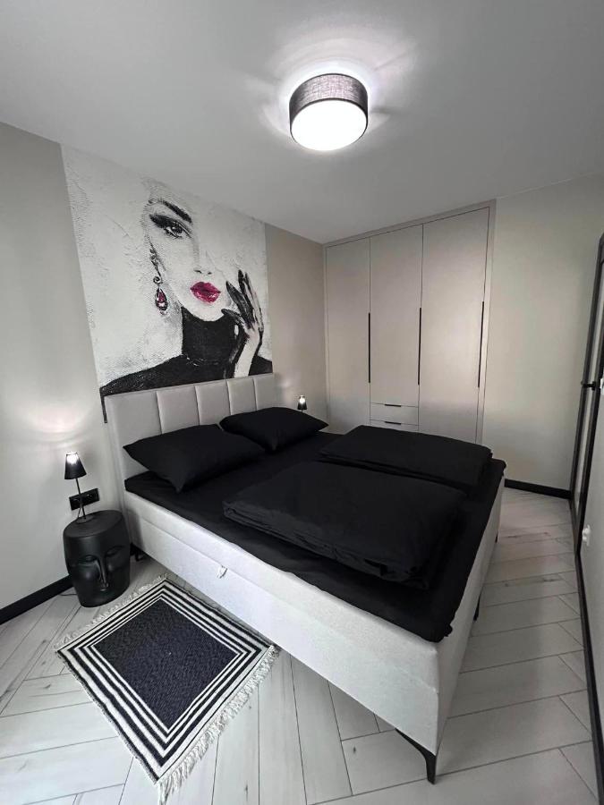 BoleslaviaApartments - Apartament Arte - air conditioning, parking free, EV - B&B Bolesławiec