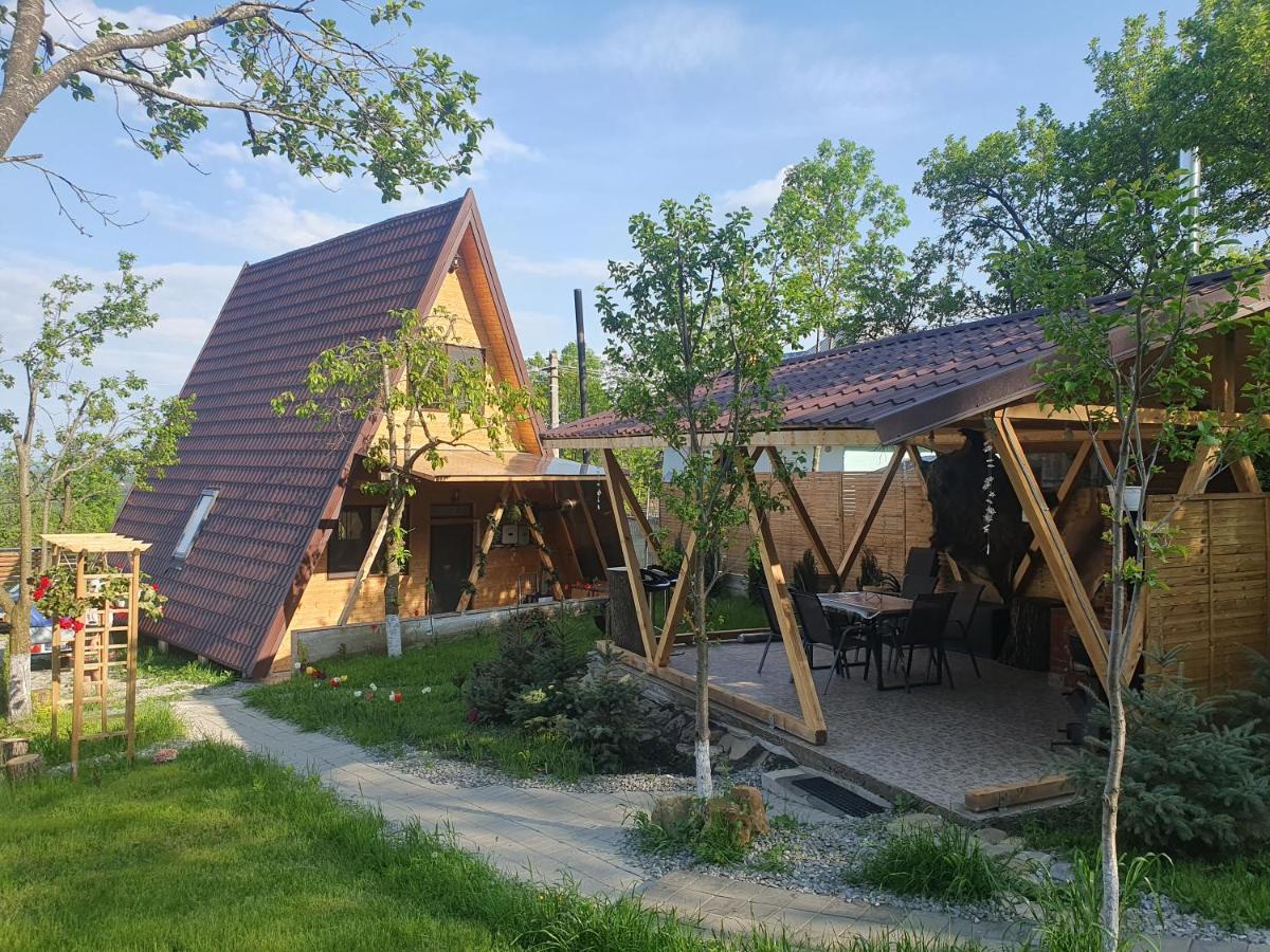 Cabana de Vis Valea Prahovei - ciubăr și saună la munte - B&B Talea