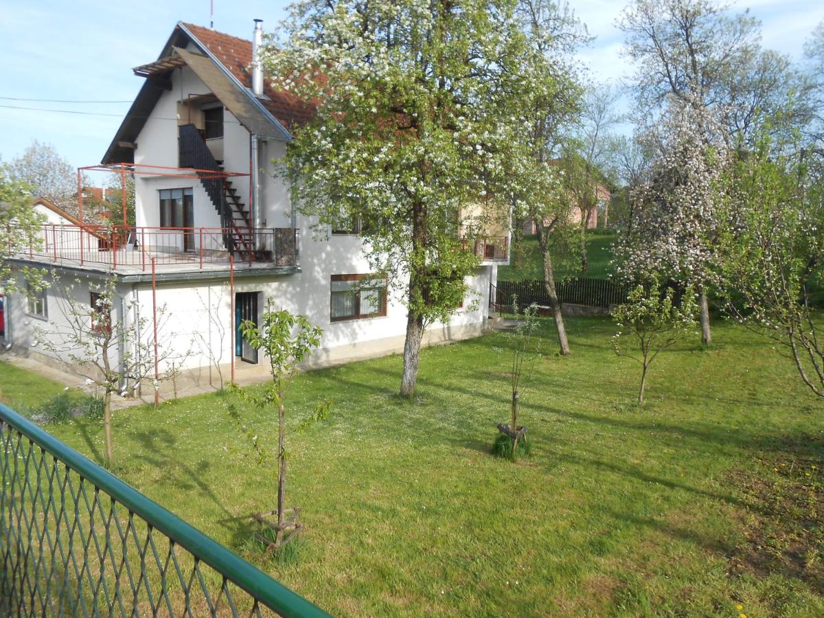 Apartment Paula - Bed and Breakfast