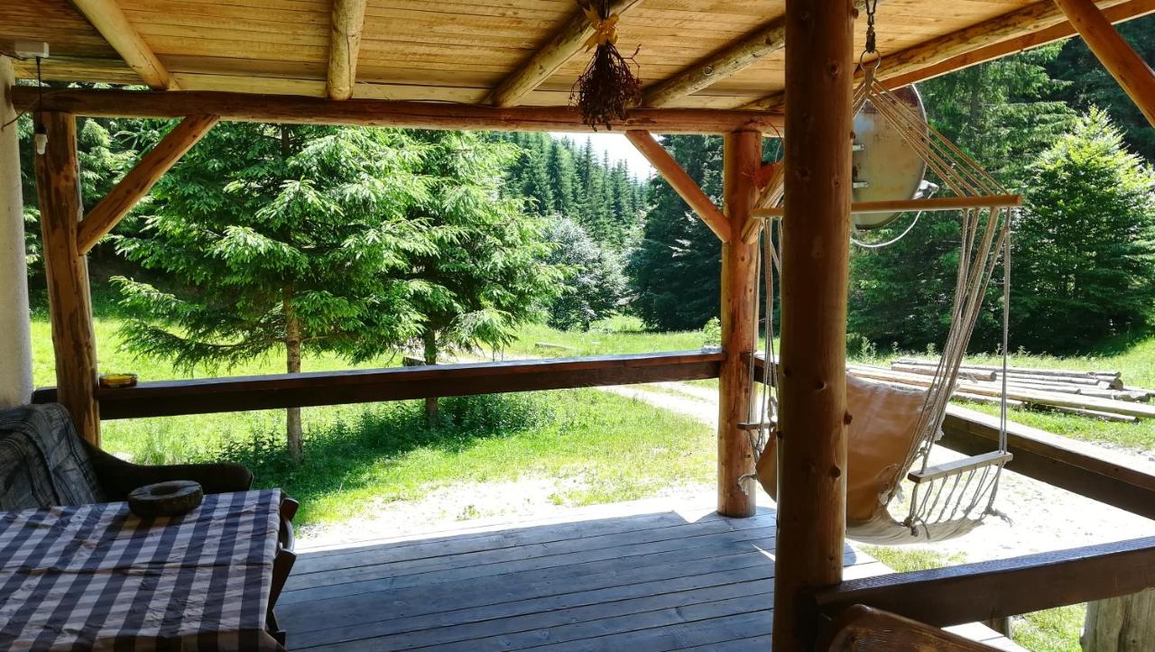 Cabana Pietricica - B&B Dâmbovicioara