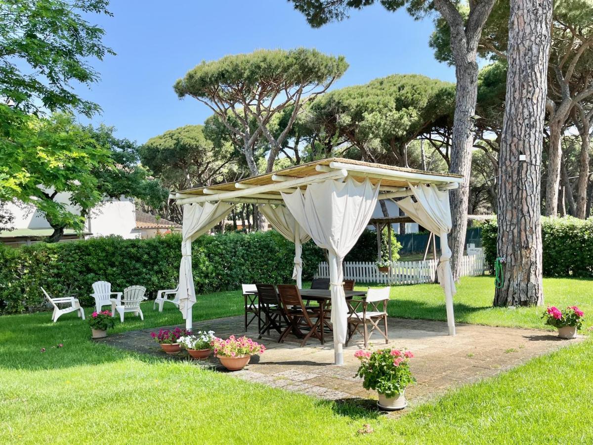 B&B Marina di Grosseto - La Meria di Maria Casa Viola - Bed and Breakfast Marina di Grosseto