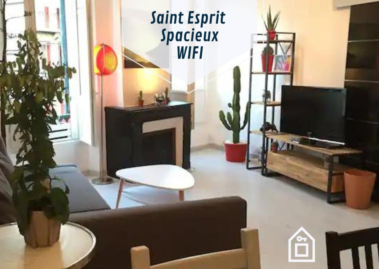 Ogi Ona T3 au coeur de Saint Esprit - B&B