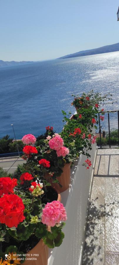 B&B Senj - Apartman David - Bed and Breakfast Senj