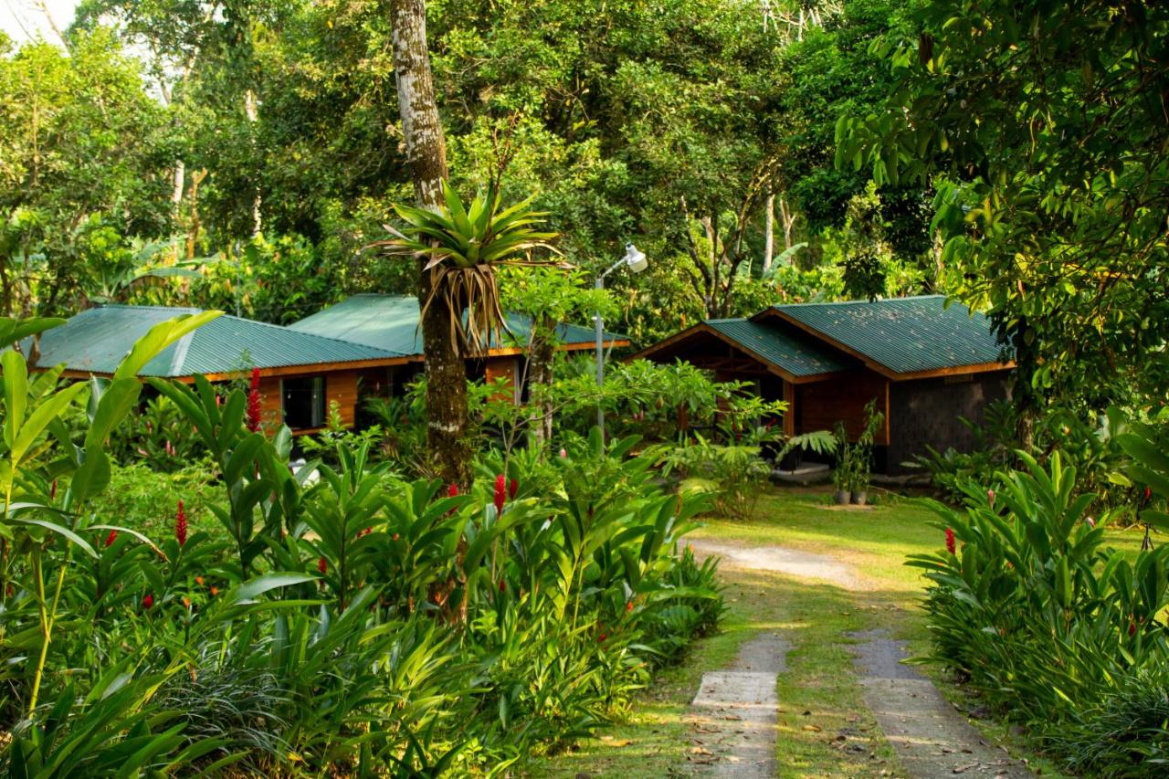 B&B La Fortuna - Eden Organic Farm & Bungalows - Bed and Breakfast La Fortuna