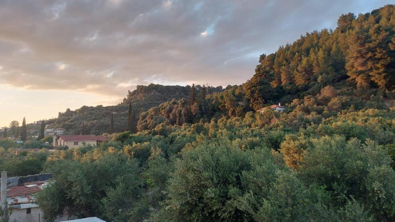 homonatura. sense of native living. - Chambres d’hôtes Pýrgos