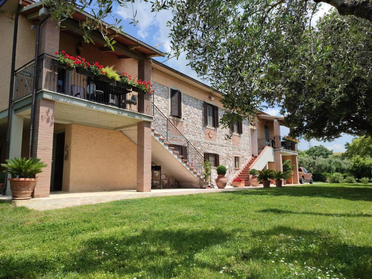 B&B Grosseto - Agriturismo San Giorgino - Bed and Breakfast Grosseto