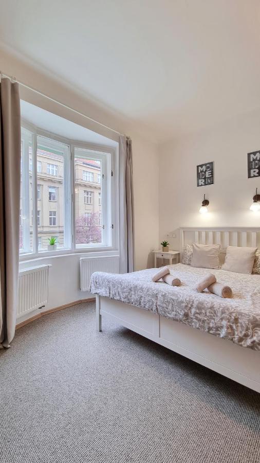 B&B Prague - Finnem Rentals Zíkova - Bed and Breakfast Prague