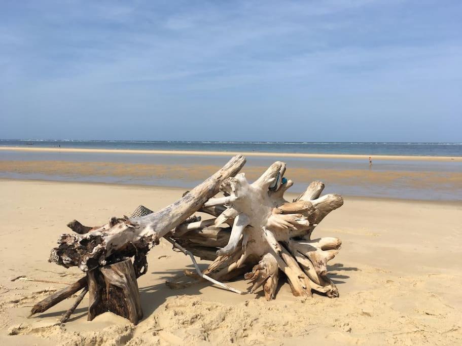 Superbe villa Obordelo à 50 m de la plage. - B&B Andernos-les-Bains