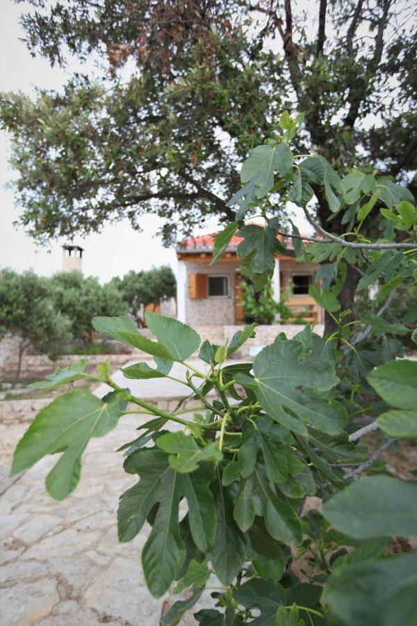 Kućica uz more - Ferienwohnung